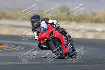 media/Feb-04-2023-SoCal Trackdays (Sat) [[8a776bf2c3]]/Turn 14 (115pm)/